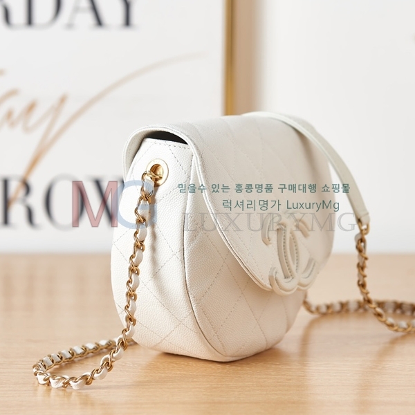 * 23P ̴ ޽  AS3919-A-1