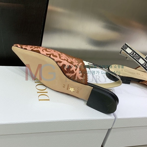  ߷ ÷  ZT006243-3