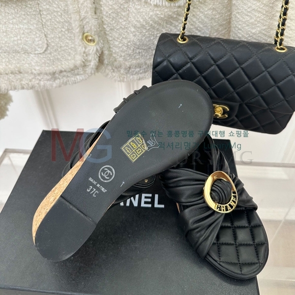 *   CHA55066-2