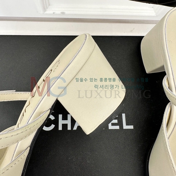 *   CHA55064-2