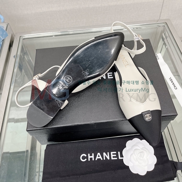 ��* ���� �÷����� K806650