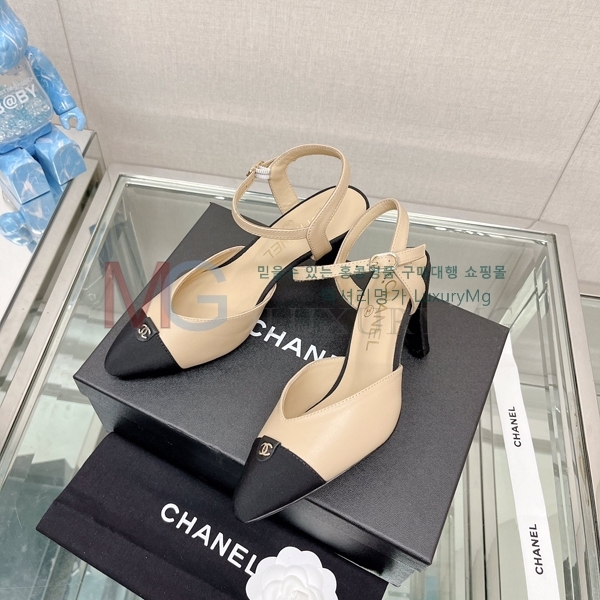 ��* ���� ������ K806651-2