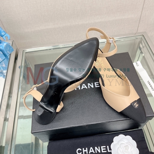 ��* ���� ������ K806651-2