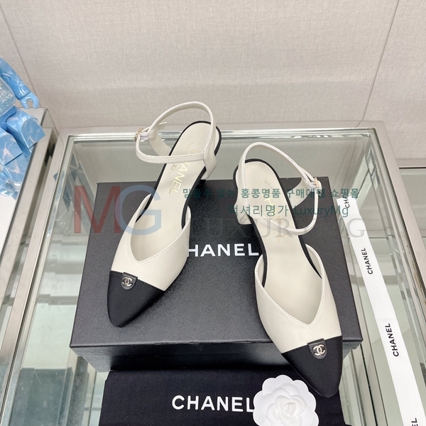 ��* ���� ������ K806651