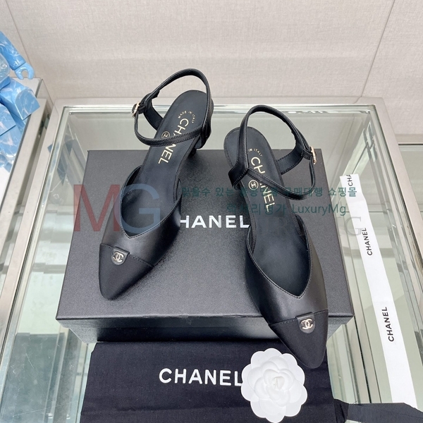 ��* ���� ������ K806651-1