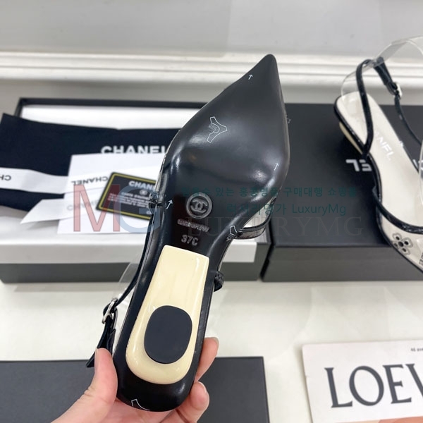 ��* ���� ������ CH64154-2(4CM)