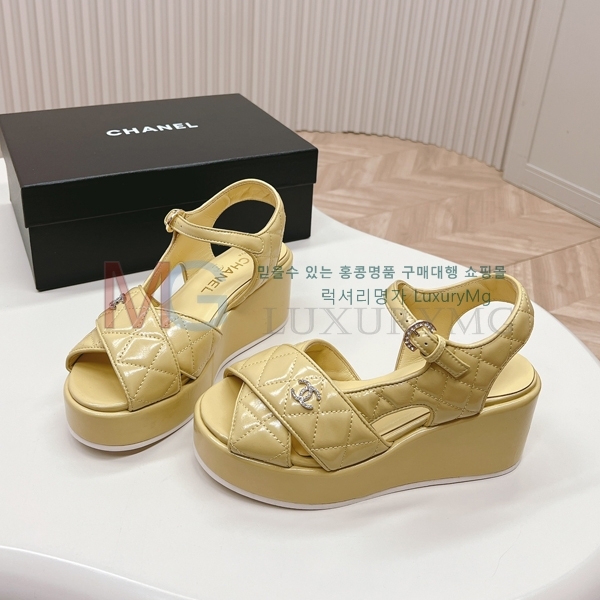 ��* ���� ���� CC608111-5