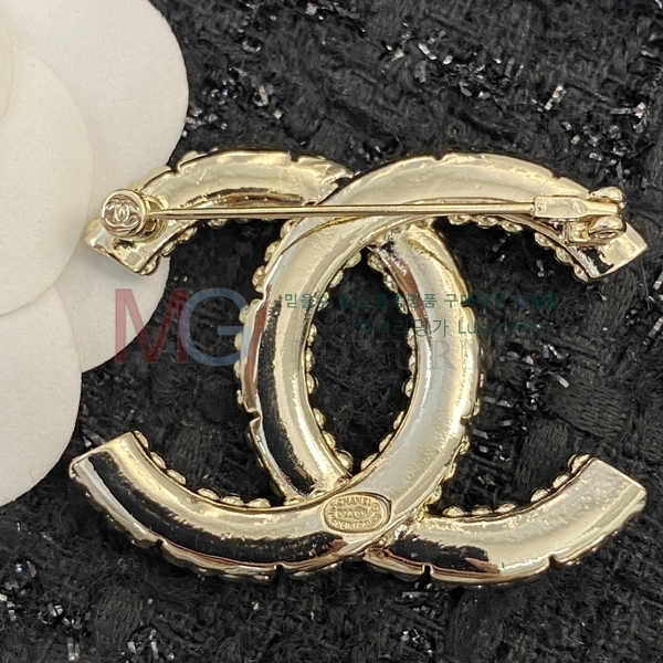 * ġ G100623