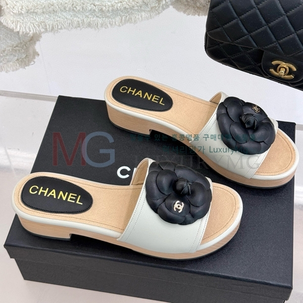 ���� ��* ���� CH540002-6