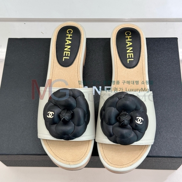 ���� ��* ���� CH540002-6
