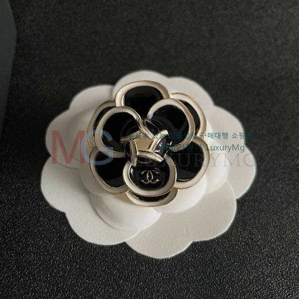  Ͱ G12251668