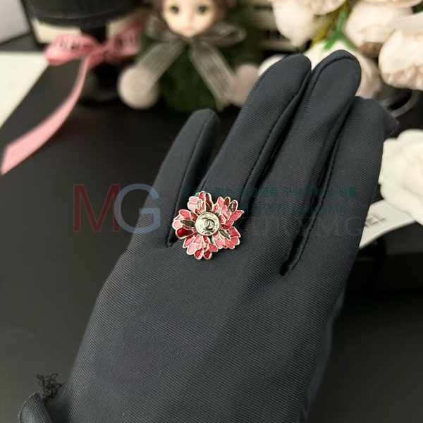 *  Ÿ  CH361760