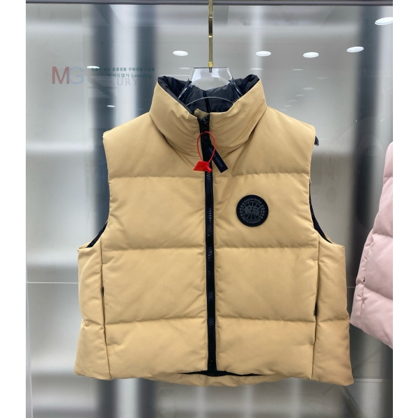  ĳٱ ٿ е  CG2645165-1