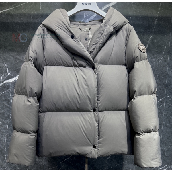  ĳٱ Rhoda ĵ Ʈ ٿе GF288781-4