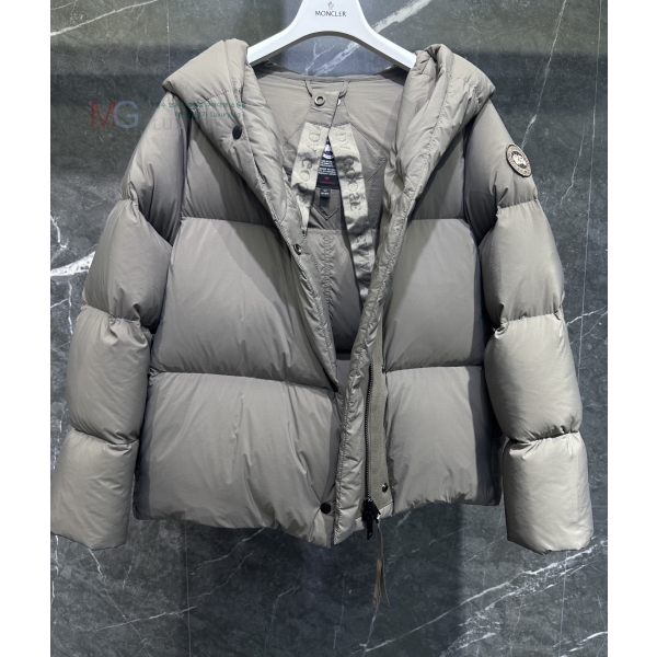  ĳٱ Rhoda ĵ Ʈ ٿе GF288781-4