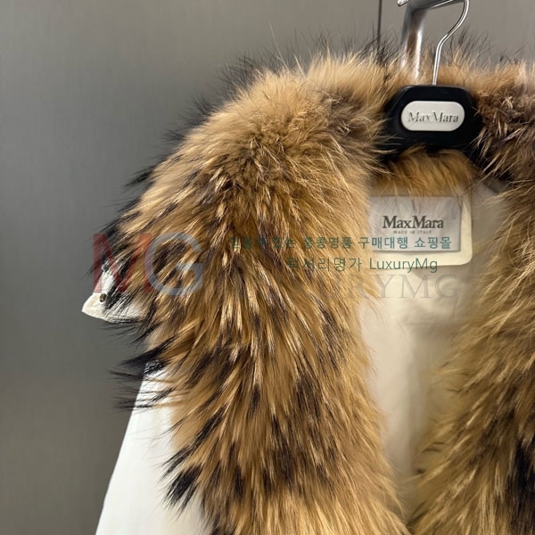 ���� �η�**�� �ٿ� �е� LP434064-5