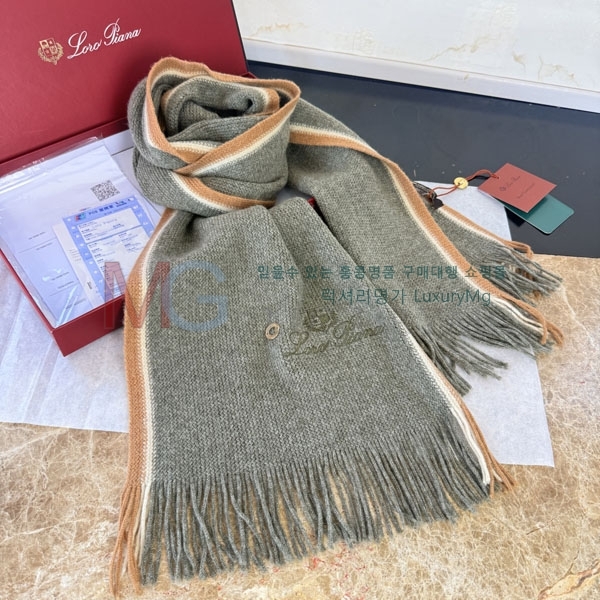 �η���*�� ���÷�/��ī�� 2LP366043-1