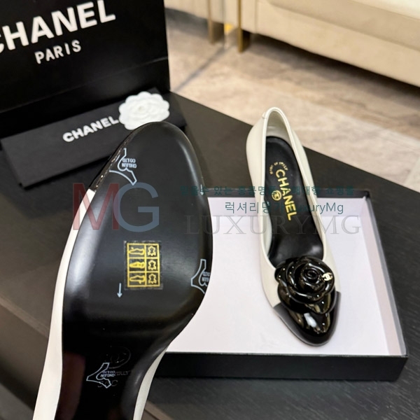 ���� ��*  �̵��� 3A7113329-4